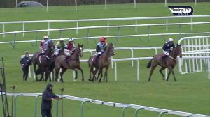 Video preview image for Haydock Park 15:35 - Platt Bridge Standard Open National Hunt Flat (4)