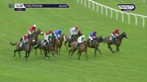 Video preview image for Cheltenham 12:50 - Join The Betbright Racing Club Handicap Chase (2)
