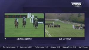 Video preview image for Catterick Bridge 15:20 - Racing Again 10th January Handicap Hurdle (5)