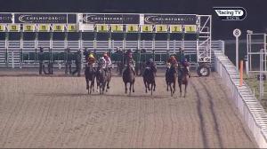 Video preview image for Chelmsford City 16:10 - Bet Toteplacepot At totesport.com Novice Stakes (4)