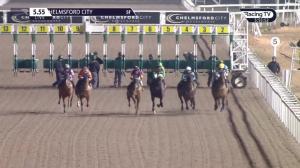 Video preview image for Chelmsford City 17:55 - Bet Totetrifecta At totesport.com Handicap (2)