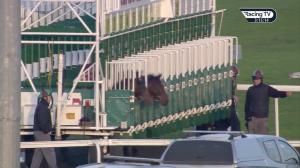 Video preview image for Kempton Park 15:15 - 32Red Casino Handicap (4)