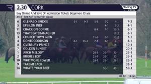 Video preview image for Cork 14:30 - Buy Online and Save On Admission Tickets Beginners Chase