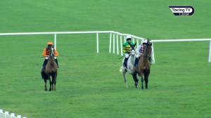 Video preview image for Naas 13:20 - Irish Stallion Farms European Breeders Fund Novice Chase