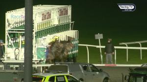 Video preview image for Kempton Park 16:45 - 32Red On The App Store Novice Stakes (5)