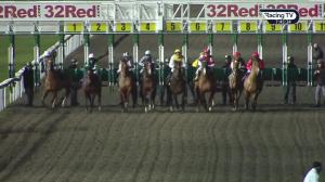 Video preview image for Kempton Park 19:45 - 100% Profit Boost At 32redsport.com Amateur Riders' Handicap (4)