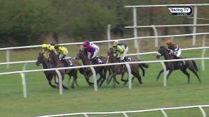 Video preview image for Newbury 15:20 - British EBF Mares' 'National Hunt' Novices' Hurdle (Qualifier) (4)