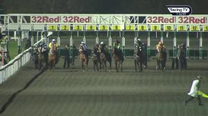 Video preview image for Kempton Park 19:30 - Join Racing TV Now Fillies' Handicap (5)