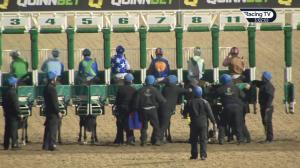 Video preview image for Dundalk 17:00 - Racing TV Maiden