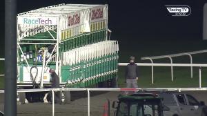 Video preview image for Kempton Park 18:15 - 32Red On The App Store Handicap (5)