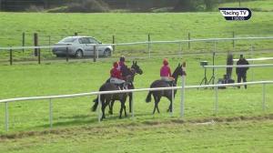 Video preview image for Thurles 13:00 - BetVictor W.T. O'Grady Memorial Irish European Breeders Fund Novice Hurdle 