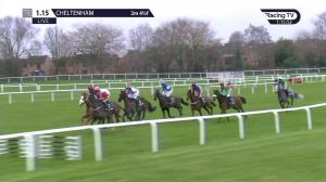 Video preview image for Cheltenham 13:15 - Timeform Novices' Handicap Chase (2)