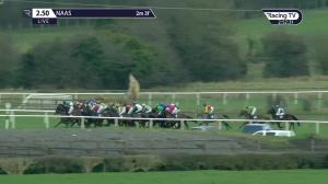 Video preview image for Naas 14:50 - I.N.H. Stallion Owners European Breeders Fund Maiden Hurdle
