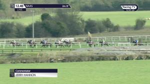 Video preview image for Naas 12:40 - Connolly's Red Mills Irish European Breeders Fund Auction Novice Hurdle