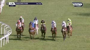 Video preview image for Sandown Park 13:20 - 'Ubique' Handicap Chase (3)