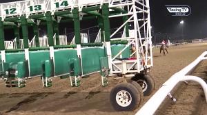 Video preview image for Dundalk 20:00 - James Watters Wholesale Maiden 