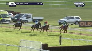 Video preview image for Haydock Park 12:50 - William Hill Victor Ludorum Juvenile Hurdle (2)