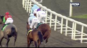 Video preview image for Haydock Park 16:45 - Walrus Open Hunters' Chase (3)