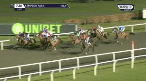 Video preview image for Kempton Park 19:30 - Wise Betting At racingtv.com Handicap (6)