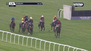 Video preview image for Newbury 14:20 - Irish Thoroughbred Marketing Juvenile Hurdle (Qualifier) (4)
