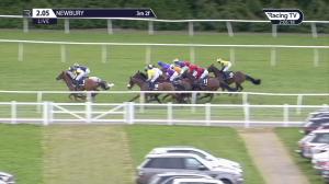 Video preview image for Newbury 14:05 - William Hill Supporting Greatwood Veterans' Handicap Chase (Leg 3) (2)