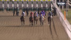 Video preview image for Chelmsford City 18:25 - Bet Totequadpot At totesport.com Conditions Stakes (Qualifier) (2)