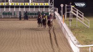 Video preview image for Chelmsford City 18:55 - Bet Totetrifecta At totesport.com Fillies' Conditions Stakes (Qualifier) (2)
