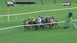 Video preview image for Ayr 17:35 - Pabst Standard Open National Hunt Flat (5)