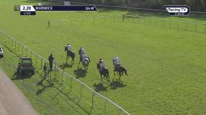Video preview image for Warwick 14:20 - EBF/tba Mares' Novices' Chase (Qualifier) (3)