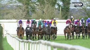 Video preview image for Down Royal 15:05 - Adare Manor Opportunity Handicap Hurdle 
