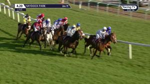 Video preview image for Haydock Park 16:20 - Vulcan Village Veterans' Handicap Chase (4)