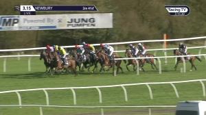 Video preview image for Newbury 15:15 - EBF & Tba Mares' "National Hunt" Novices' Hurdle Series Final (Limited Handicap) (Grade 2) (1)