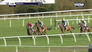 Video preview image for Newbury 15:50 - Doom Bar Handicap Chase (2)