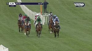 Video preview image for Kelso 17:20 - Ferguson Planning & Development Handicap Hurdle (4) (Div 2)