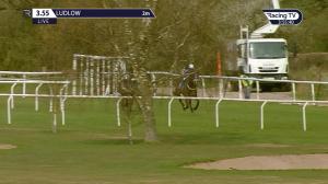 Video preview image for Ludlow 15:55 - Boyne Cup (Handicap Chase) (3)
