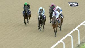 Video preview image for Dundalk 17:40 - Irish Stallion Farms European Breeders Fund Maiden