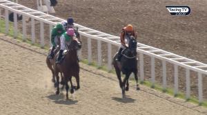 Video preview image for Chelmsford City 14:30 - Bet Toteexacta At totesport.com Novice Stakes (4)