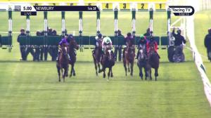 Video preview image for Newbury 17:00 - Dreweatts Maiden Stakes (3)