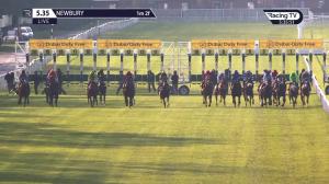 Video preview image for Newbury 17:35 - Dubai Duty Free Millennium Millionaire Handicap (3)