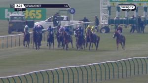 Video preview image for Newmarket 14:25 - Bet365 Wood Ditton Maiden Stakes (3)