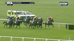 Video preview image for Cheltenham 14:40 - Cure Parkinson's and Hambo Foundation Silver Trophy Chase (Limited Handicap) (Grade 2) (1)
