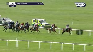 Video preview image for Cheltenham 14:40 - EBF/thoroughbred Breeders' Association Mares' Novices' Handicap Chase Series Final (Listed) (1)