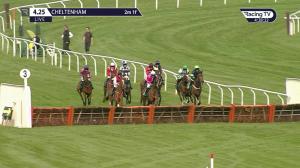Video preview image for Cheltenham 16:25 - Junior Jumpers Fillies' Juvenile Handicap Hurdle (Grade 3) (1)