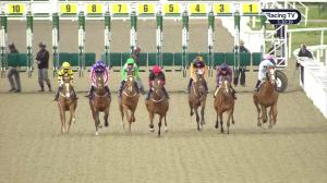 Video preview image for Chelmsford City 17:30 - Bet Toteplacepot At totesport.com Handicap (5)