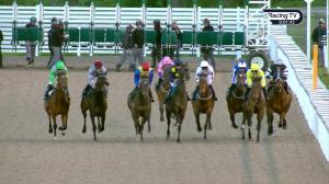 Video preview image for Chelmsford City 20:00 - Bet Totescoop6 At totesport.com Handicap (4)