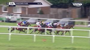 Video preview image for Sandown Park 17:05 - bet365.com Handicap (3)