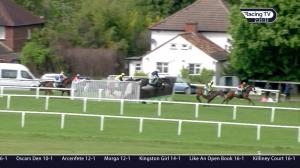 Video preview image for Sandown Park 14:25 - Bet365 Oaksey Chase (Grade 2) (1)