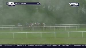 Video preview image for Haydock Park 14:40 - Betway Handicap (5)