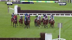 Video preview image for Sandown Park 17:15 - Bet365 Handicap Hurdle (2)