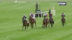 Video preview image for Punchestown 18:40 - Dooley Insurance Group Champion Novice Chase (Ellier) (Grade 1)